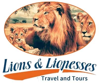 Lion & Lionesses Tours and Transport